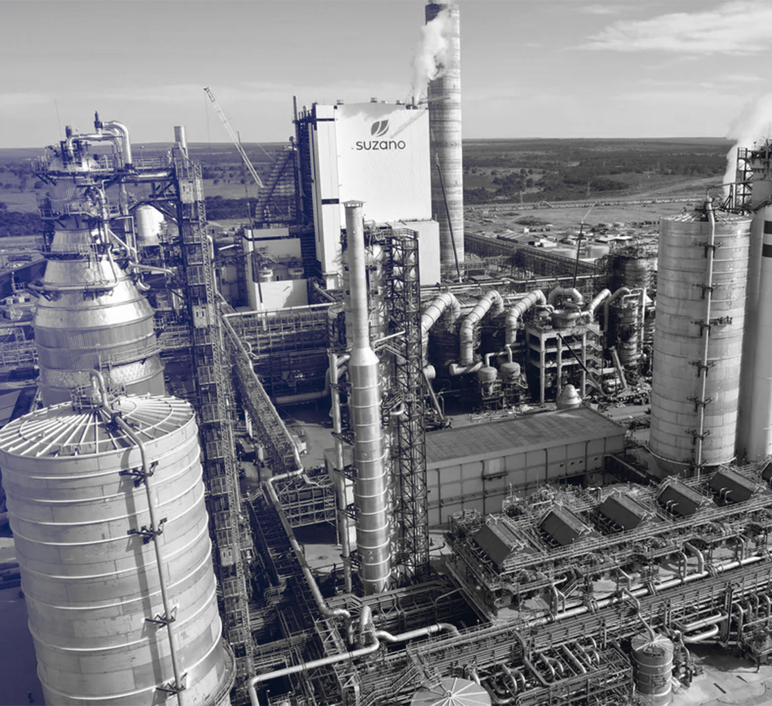 Área Suzano